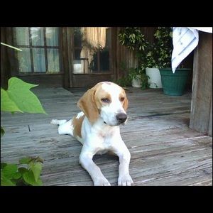 Meet your Posher, Jason